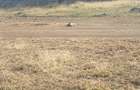 17 ac Land in Ongata Rongai - 11