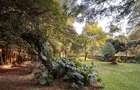 4 Bed House with En Suite in Muthaiga - 3