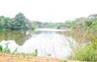 Residential Land in Kiambu Road - 11