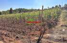0.05 ha Residential Land at Kamangu - 3