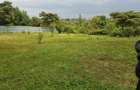 Land in Karen - 1