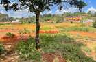 0.08 ha Commercial Land at Limuru - 3