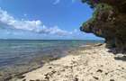 3 ac Land in Vipingo - 4