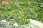 Land at Vipingo Kuruwitu Beach - 16