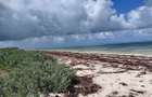 Land in Watamu - 2