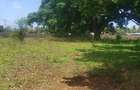 5 ac Land at Mavueni - 9