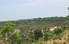 Land in Kilifi - 1