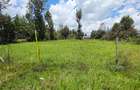 0.125 ac Land at Matasia - 3