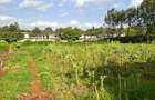 0.2 ha Residential Land at Three Dee Lane - 6