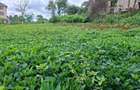 0.25 ac Land in Runda - 3