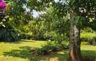 4 Bed Townhouse with En Suite in Runda - 4