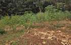 Land at Thindigua - 3