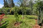 5 Bed Villa with En Suite at Karen - 20
