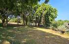 5 Bed Villa with En Suite at Vipingo - 20