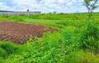 12.5 ac Land at Thika - 2