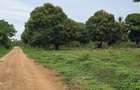 6 ac Land at Pwani Oil - 7