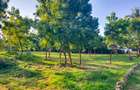 Land in Mtwapa - 3