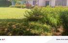 Land in Lavington - 1