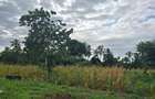 6 ac Land at Bomani - 2