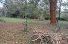 1.00 ac Land at New Muthaiga - 2