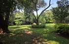 4 Bed House with Staff Quarters in Loresho - 3