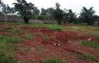 Land in Thindigua - 3