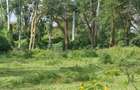 5.5 ac Land in Naivasha - 1