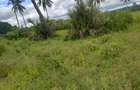 Commercial Land in Nyali Area - 7