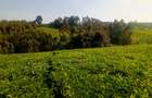 4.8 ac Land in Limuru - 7