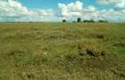 Land in Nyeri - 2