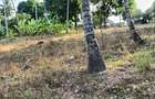 15 ac Land at Bomani - 1