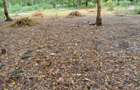 Land in Watamu - 2