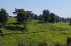 5 ac Land at Tigoni - 1