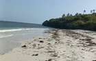 Land at Tiwi - 4