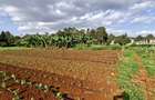 0.2 ha Residential Land at Three Dee Lane - 1