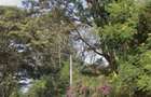 Residential Land at Karen - 2