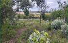 Land in Narok - 2