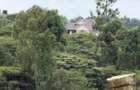 0.0113 ac Land in Ngong - 7