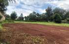Land in Runda - 9