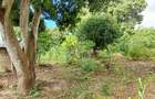 Land at Mtwapa - 10