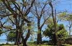 2 ac Land at Bamburi Beach - 4