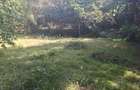 0.75 ac Residential Land at Off Naivasha Avenue - 5
