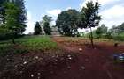 Residential Land at Kirawa Road - 4