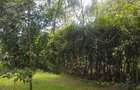 1.32 ac Residential Land in Riara Road - 4