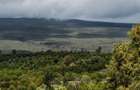 314 ac Land at Timau - 25