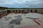 5 Bed House with En Suite at Kitengela Acacia - 20