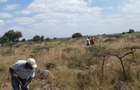 Land at Daystar University - 1