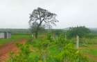 21 ac Land at Mavueni Mariakani Northern By - Pass Road - 11