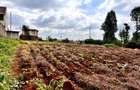 Land in Redhill - 18