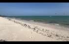 Land in Watamu - 1